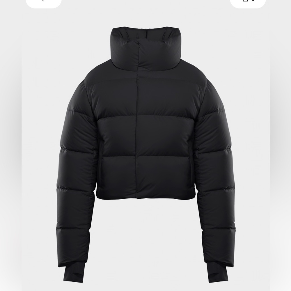 Aritzia Black Puffer Jacket
